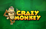 Crazy Monkey