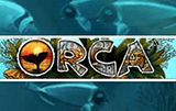 Orca