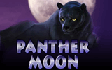 Panther Moon