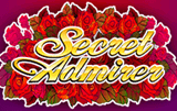 Secret Admirer