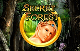 Secret Forest