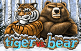 Tiger vs Bear