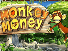   Monkey Money